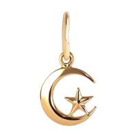Gold pendant Crescent with star 323110