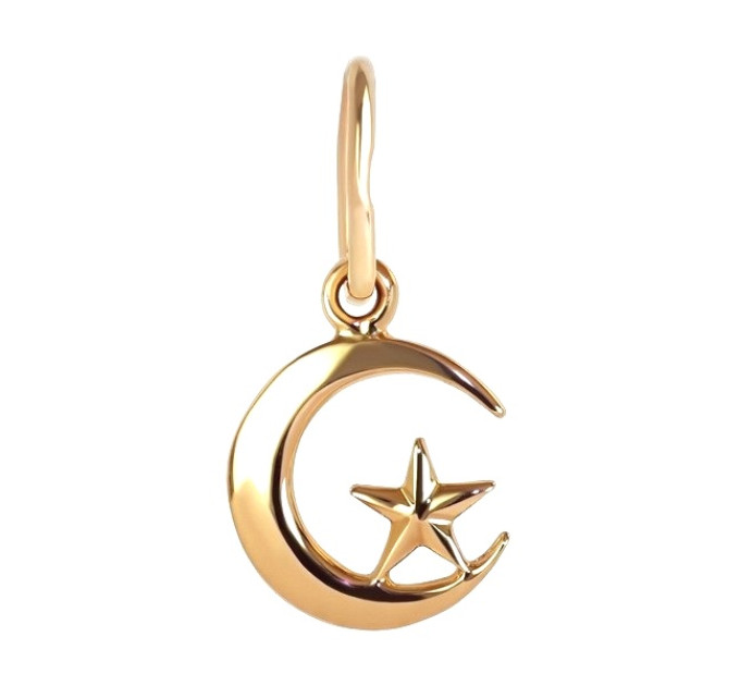 Gold pendant Crescent with star 323110