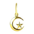 Gold pendant Crescent with star 323120