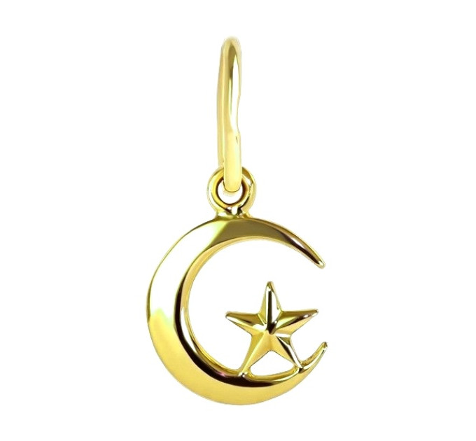 Gold pendant Crescent with star 323120