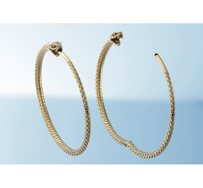 Snake silver earrings 204223